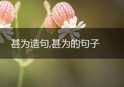 甚为造句,甚为的句子