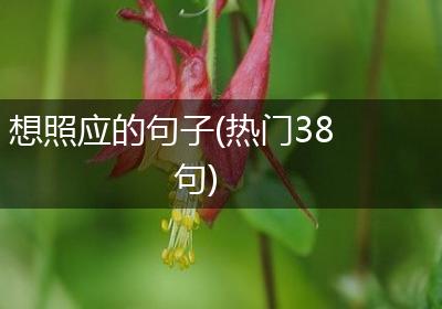 想照应的句子(热门38句)
