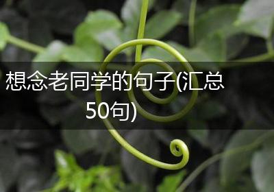 想念老同学的句子(汇总50句)