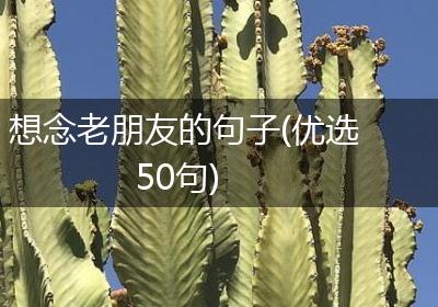 想念老朋友的句子(优选50句)