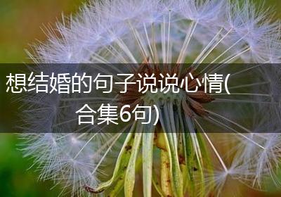 想结婚的句子说说心情(合集6句)