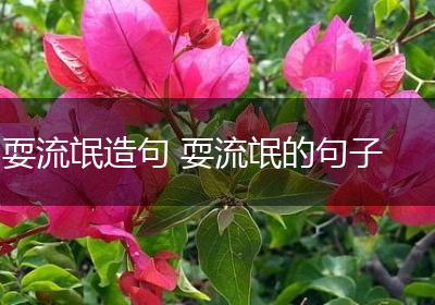 耍流氓造句 耍流氓的句子