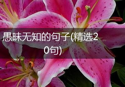 愚昧无知的句子(精选20句)
