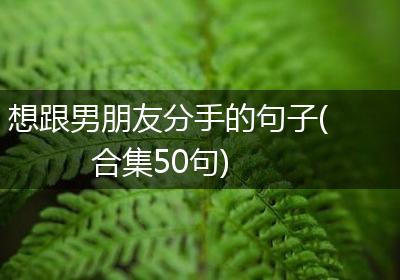 想跟男朋友分手的句子(合集50句)