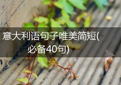 意大利语句子唯美简短(必备40句)