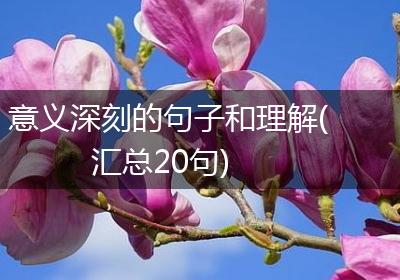 意义深刻的句子和理解(汇总20句)