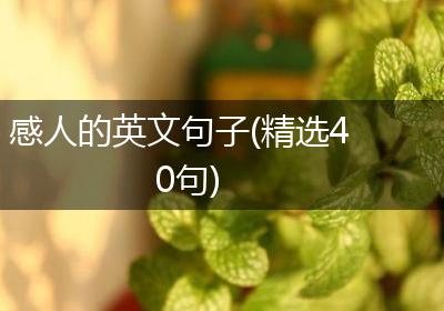 感人的英文句子(精选40句)