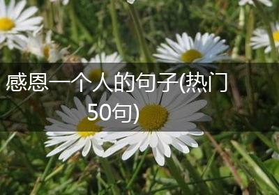 感恩一个人的句子(热门50句)