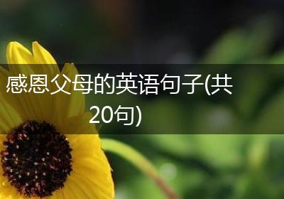 感恩父母的英语句子(共20句)