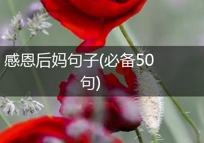 感恩后妈句子(必备50句)
