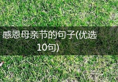 感恩母亲节的句子(优选10句)