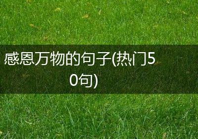 感恩万物的句子(热门50句)