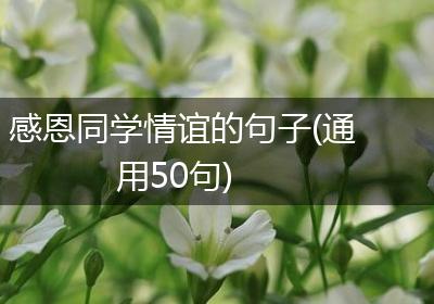 感恩同学情谊的句子(通用50句)