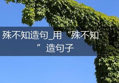 殊不知造句_用“殊不知”造句子