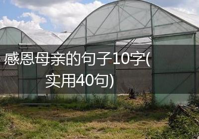 感恩母亲的句子10字(实用40句)
