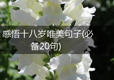 感悟十八岁唯美句子(必备20句)
