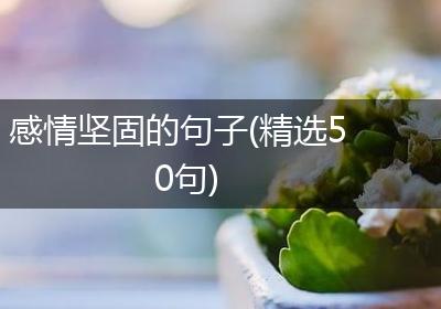 感情坚固的句子(精选50句)