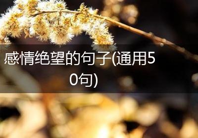 感情绝望的句子(通用50句)