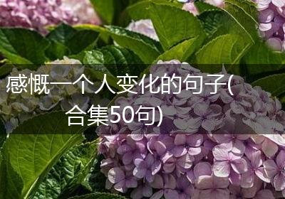 感慨一个人变化的句子(合集50句)