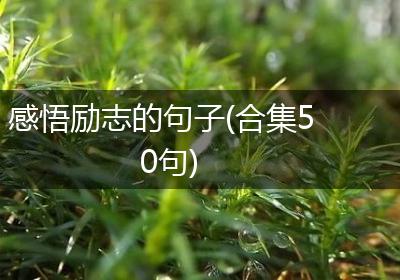 感悟励志的句子(合集50句)