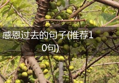 感恩过去的句子(推荐10句)