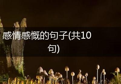 感情感慨的句子(共10句)