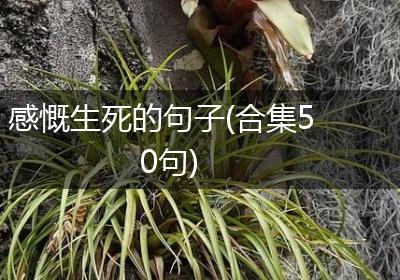 感慨生死的句子(合集50句)