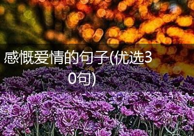 感慨爱情的句子(优选30句)