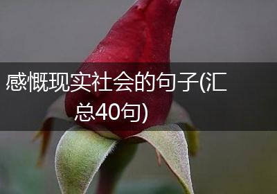 感慨现实社会的句子(汇总40句)