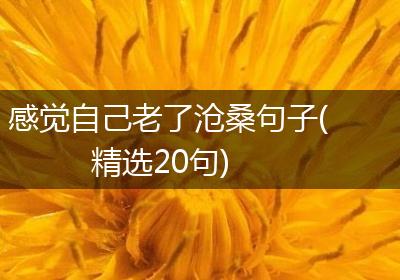 感觉自己老了沧桑句子(精选20句)