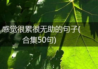 感觉很累很无助的句子(合集50句)