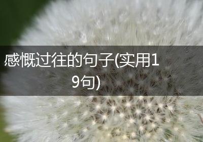 感慨过往的句子(实用19句)