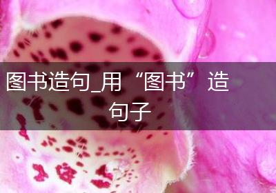 图书造句_用“图书”造句子