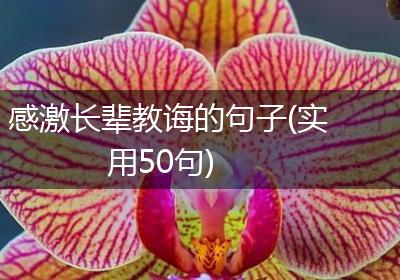 感激长辈教诲的句子(实用50句)