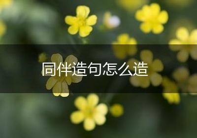 同伴造句怎么造