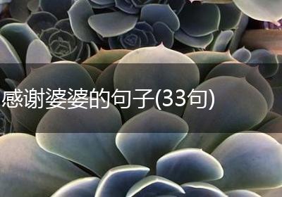 感谢婆婆的句子(33句)