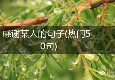 感谢某人的句子(热门50句)