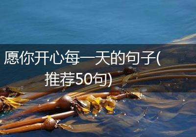 愿你开心每一天的句子(推荐50句)