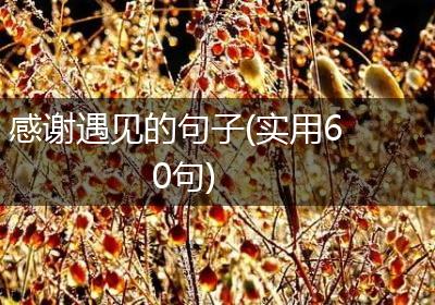 感谢遇见的句子(实用60句)