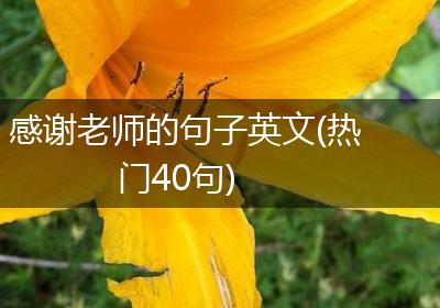 感谢老师的句子英文(热门40句)
