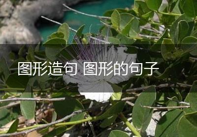 图形造句 图形的句子