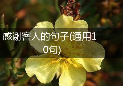 感谢客人的句子(通用10句)