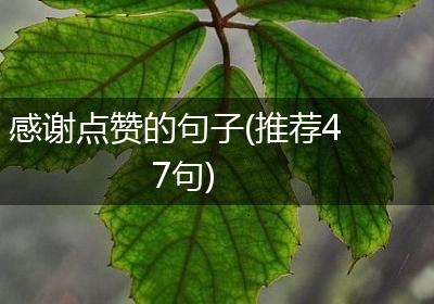 感谢点赞的句子(推荐47句)