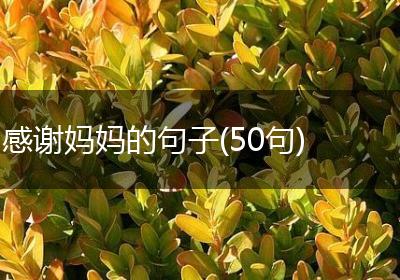 感谢妈妈的句子(50句)