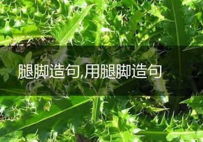 腿脚造句,用腿脚造句