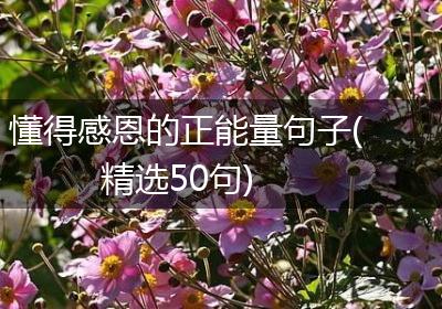 懂得感恩的正能量句子(精选50句)
