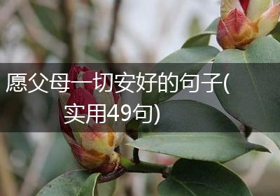 愿父母一切安好的句子(实用49句)