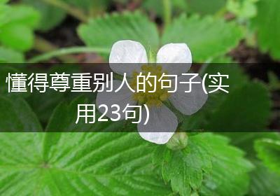 懂得尊重别人的句子(实用23句)