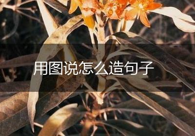 用图说怎么造句子