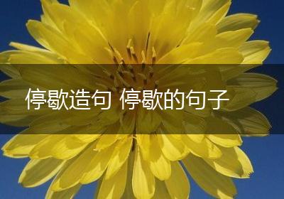 停歇造句 停歇的句子